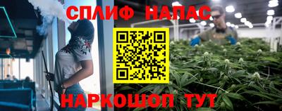 крисы Малоярославец